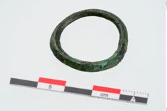 Foto von Bronzering (NHMW-PRAE-024831)